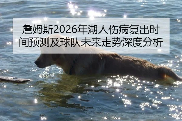 詹姆斯2026年湖人伤病复出时间预测及球队未来走势深度分析