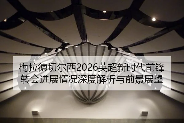 梅拉德切尔西2026英超新时代前锋转会进展情况深度解析与前景展望